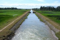 Đầu tư và Xây dựng Thủy lợi Lâm Đông (LHC) dự kiến phát hành cổ phiếu tỷ lệ 100%