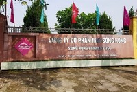 Cổ phiếu May Sông Hồng (MSH) bị cắt margin 