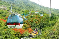 Hoạt động kinh doanh ổn định, Cáp treo Núi Bà Tây Ninh (TCT) chốt quý IV/2024 với lợi nhuận khả quan