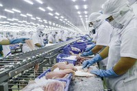 Thêm Thủy sản Cần Thơ (CCA) báo cáo lợi nhuận giảm 94% trong quý III/2020