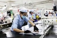 Tập đoàn Dệt May Việt Nam (VGT): 9 tháng đầu năm giảm được 1.489 tỷ đồng nợ vay