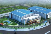 Bidiphar (DBD) dự kiến thoái toàn bộ 13,5% vốn tại Biotan bằng giá gốc