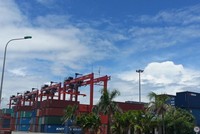 Cảng Đình Vũ (DVP) tạm ứng cổ tức năm 2020 với tỷ lệ 15%