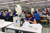 Đầu tư và Thương mại TNG: Quý IV/2020 lợi nhuận giảm 59% do phải giảm giá đơn hàng sang châu Âu