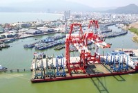Trước khi lên HOSE, Cảng Quy Nhơn báo cáo lợi nhuận năm 2020 đạt 110,8 tỷ đồng, tăng hơn 13%