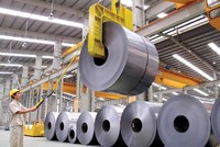 Hoa Sen (HSG): Ngày 9/3 chốt danh sách cổ đông xin ý kiến mua 22 triệu cổ phiếu của công ty