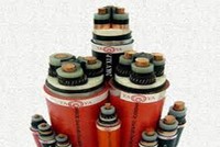 Dây và Cáp Điện Taya Việt Nam (TYA): Năm 2021 đặt kế hoạch lợi nhuận tăng 5,5% lên 75,4 tỷ đồng