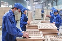 Gỗ Trường Thành (TTF) thay đổi Kế toán trưởng