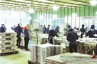 Phú Tài (PTB) dự kiến dùng toàn bộ cổ phiếu quỹ chia cho cổ đông hiện hữu