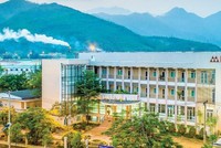 Trước thềm Đại hội, Trưởng Ban kiểm soát tại Cao su Đà Nẵng (DRC) xin từ nhiệm