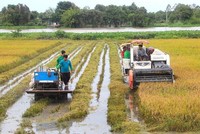 Lộc Trời (LTG) đặt kế hoạch lợi nhuận năm 2021 tăng 8,5% lên 400 tỷ đồng