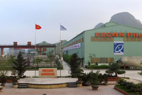 FECON (FCN) lên kế hoạch phát hành riêng lẻ 32 triệu cổ phiếu với giá 13.000 đồng
