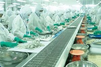 Thực phẩm Sao Ta (FMC): Doanh số 6 tháng đầu năm ước đạt 99,1 triệu USD, tăng 29%