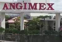 Xuất nhập khẩu An Giang (AGM) thành lập 5 công ty con hoạt động chính là sản xuất kinh doanh lúa gạo