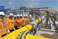 Phân phối khí thấp áp Dầu khí Việt Nam (PGD): Cổ đông lớn đến từ Singapore mua thêm cổ phiếu