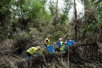 Người Hà Lan có thể đưa ra bài học cho thế giới về khả năng chuẩn bị cho lũ lụt