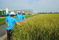 Lộc Trời (LTG): 6 tháng đầu năm lợi nhuận tăng 101,7% lên 229,1 tỷ đồng