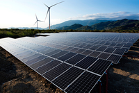 Bamboo Capital (BCG) thông qua kế hoạch chào bán 148,77 triệu cổ phiếu, giá 12.000 đồng/cổ phiếu