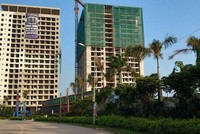 Tập đoàn Tiến Bộ (TTB) dự kiến dùng 300 tỷ đồng mua cổ phần tại các công ty bất động sản