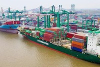 Container Việt Nam (VSC): Đại lý Vận tải Safi (SFI) đăng ký bán 1,29 triệu cổ phiếu
