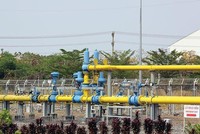 Phân phối khí thấp áp Dầu khí Việt Nam (PGD): Cổ đông Nhật Bản muốn nâng sở hữu lên 25% vốn điều lệ