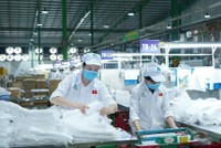 Nhựa An Phát Xanh (AAA): Cổ phiếu tăng cao, Kế toán trưởng bán toàn bộ 462.000 cổ phiếu