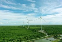 FECON (FCN): Cổ phiếu lập đỉnh lịch sử, Tổng giám đốc, Chủ tịch HĐQT đồng loạt đăng ký bán ra cổ phiếu