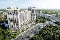 Nhà Thủ Đức (TDH) bị Cục Thuế TP.HCM truy thu và phạt thuế gần 100 tỷ đồng