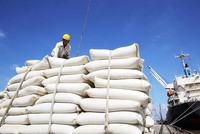 Giá lúa mỳ tăng cao và nỗi lo an ninh lương thực do ảnh hưởng từ Ukraine