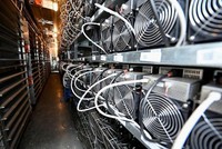 Gần một nửa chủ sở hữu tiền điện tử lần đầu tiên mua tài sản kỹ thuật số vào năm 2021