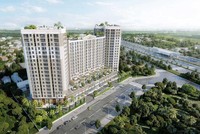 Nhà Thủ Đức (TDH) đặt kế hoạch có lãi trở lại trong năm 2022 và muốn phát hành 120 triệu cổ phiếu riêng lẻ giá 12.000 đồng