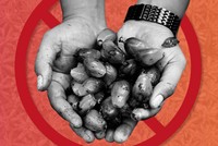 Chủ nghĩa bảo hộ lương thực thúc đẩy lạm phát toàn cầu và nạn đói