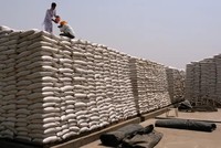 Ấn Độ cấm xuất khẩu lúa mì khi một đợt nắng nóng làm giảm sản lượng