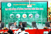 ĐHCĐ Tập đoàn Công nghiệp Cao su Việt Nam (GVR): Cổ đông thắc mắc về việc hạ tỷ lệ cổ tức