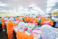 Nam Việt (ANV) giảm vốn điều lệ công ty bất động sản và tăng vốn điều lệ công ty sản xuất điện