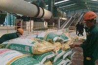 Quý II/2022, lợi nhuận Phân bón Bình Điền (BFC) giảm 25,3% về 75 tỷ đồng