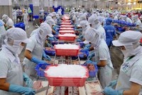 Nam Việt (ANV): Quý II/2022, lợi nhuận tăng 913,9% lên 240,69 tỷ đồng nhờ sản lượng và giá bán đều tăng