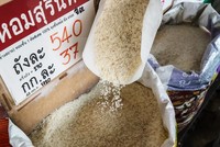 Tình trạng dư thừa gạo xuất hiện, trái ngược với lúa mì và ngô