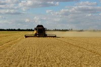 Giá thực phẩm toàn cầu giảm mạnh trong tháng 7, nhưng xu hướng này có thể không kéo dài