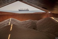 Trái ngược với dự báo, giá lương thực toàn cầu đã giảm