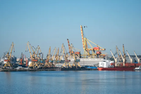 Giá dầu sẽ ổn định trong năm nay và bắt đầu giảm nhẹ trong năm 2023