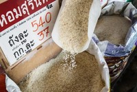 Lệnh hạn chế xuất khẩu gạo của Ấn Độ làm tê liệt hoạt động thương mại gạo ở châu Á