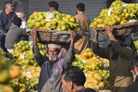 Kỷ nguyên tiền rẻ đã qua và nhiều quốc gia phải hứng chịu nhiều thiệt hại