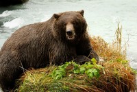 Các nhà đầu tư triệu phú đang ở trạng thái bi quan nhất kể từ năm 2008