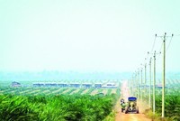 Hoàng Anh Gia Lai (HAG) dự kiến tổ chức Đại hội đồng cổ đông thường niên năm 2023 trong tháng 4