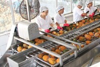 Afiex (AFX) tiếp tục nộp niêm yết lại 35 triệu cổ phiếu trên sàn HOSE