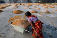 Lệnh cấm xuất khẩu gạo của Ấn Độ làm dấy lên lo ngại về lạm phát lương thực toàn cầu