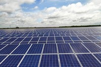 EI Nino quay trở lại, lợi nhuận quý II/2023 của Trường Thành Group (TTA) giảm 60,7% về 29,98 tỷ đồng