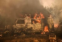 Biến đổi khí hậu làm tăng nguy cơ cháy rừng cực đoan thêm 25%