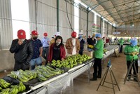 Hoàng Anh Gia Lai (HAG) chưa trả lãi cho trái chủ 2 kỳ liên tiếp với mệnh giá 5.271 tỷ đồng